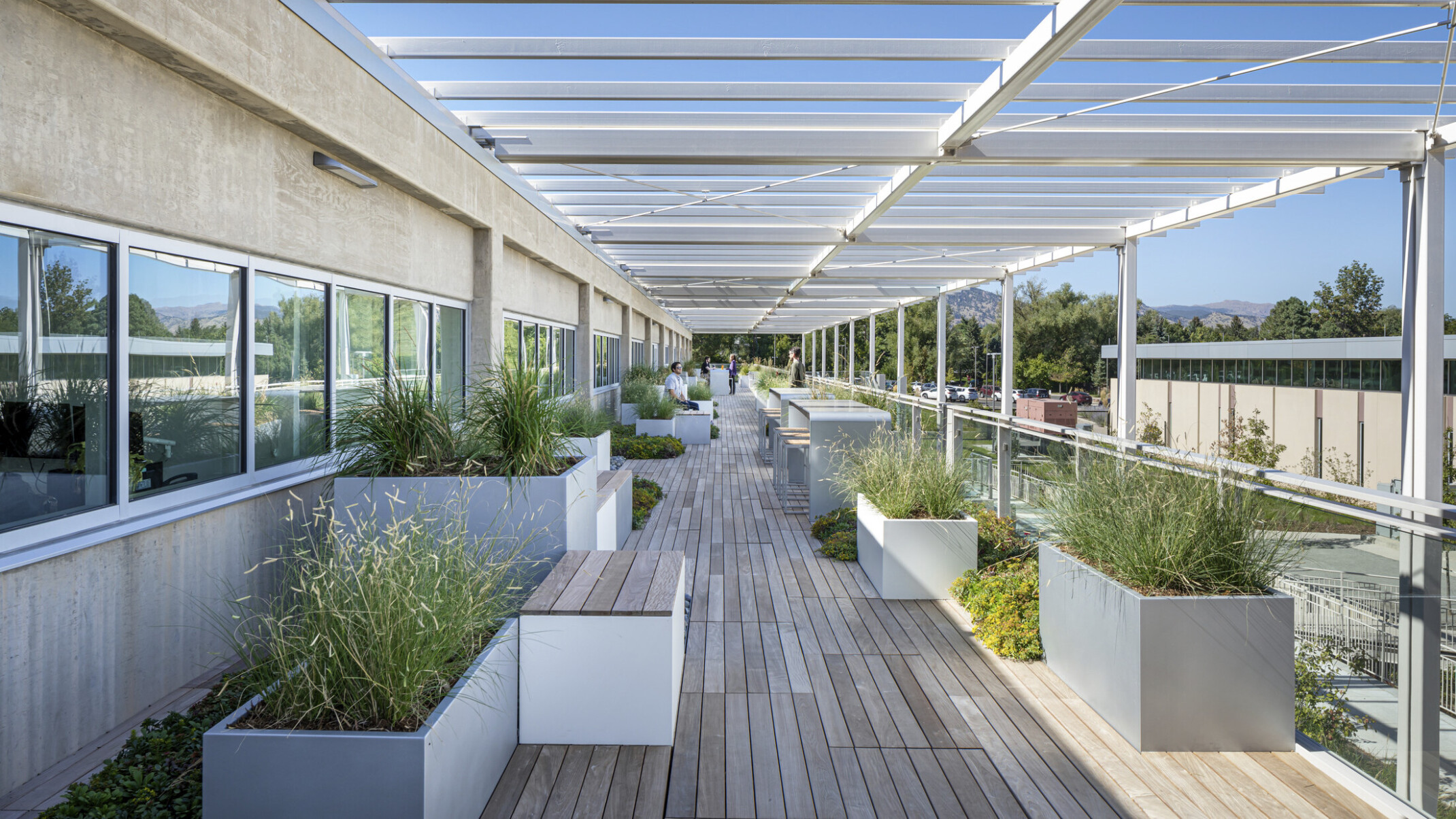 Outdoor walkway filled with plants in white planters on wooden decking
