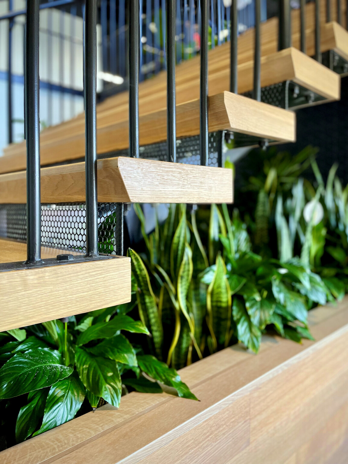 close image of wood staircase with green plants in planters beneath