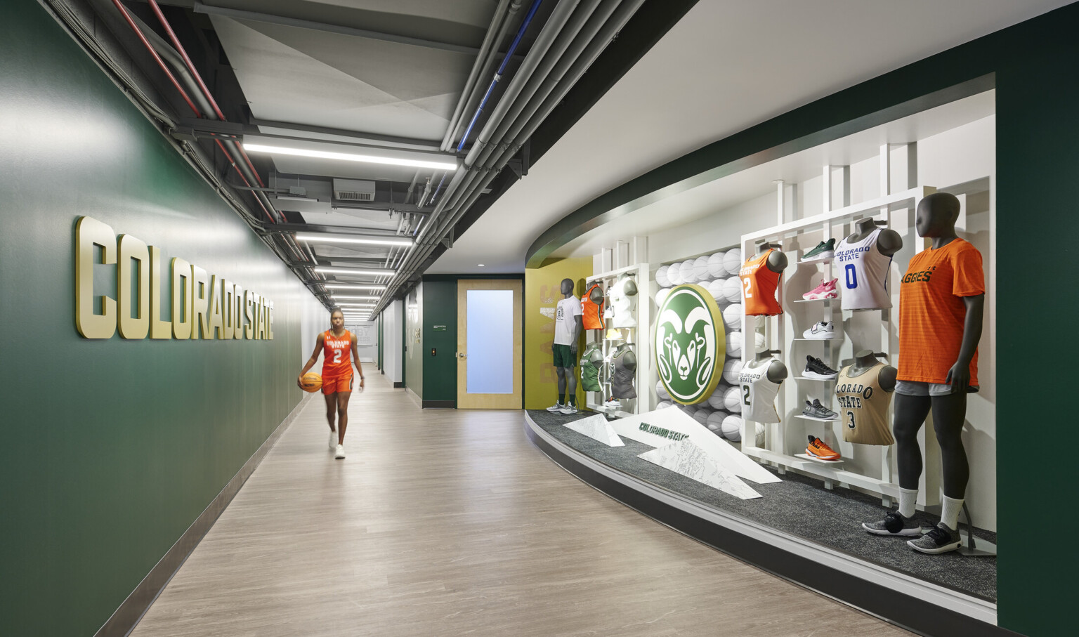 Hallway with dynamic gear display that highlights CSU and Rams Basketball, green walls with team signage, light wood flooring, mannequins wearing team branded athletic wear