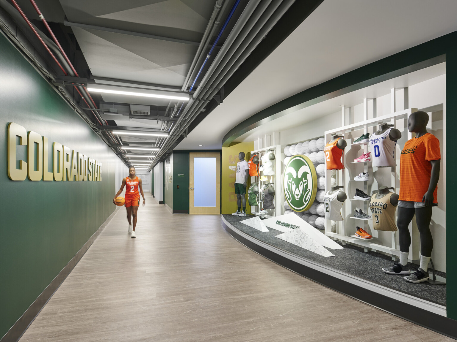 athlete in hallway with dynamic gear display that highlights CSU and Rams Basketball, green wall with team signage, light wood flooring, mannequins wearing team branded athletic wear