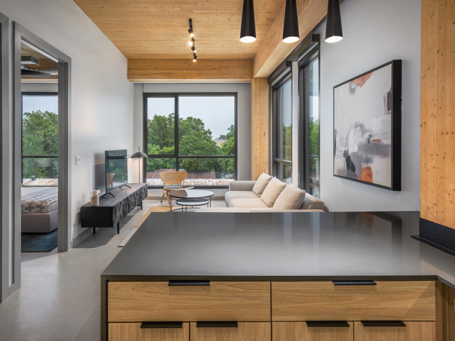 modern apartment overlooking kitchen island and living room