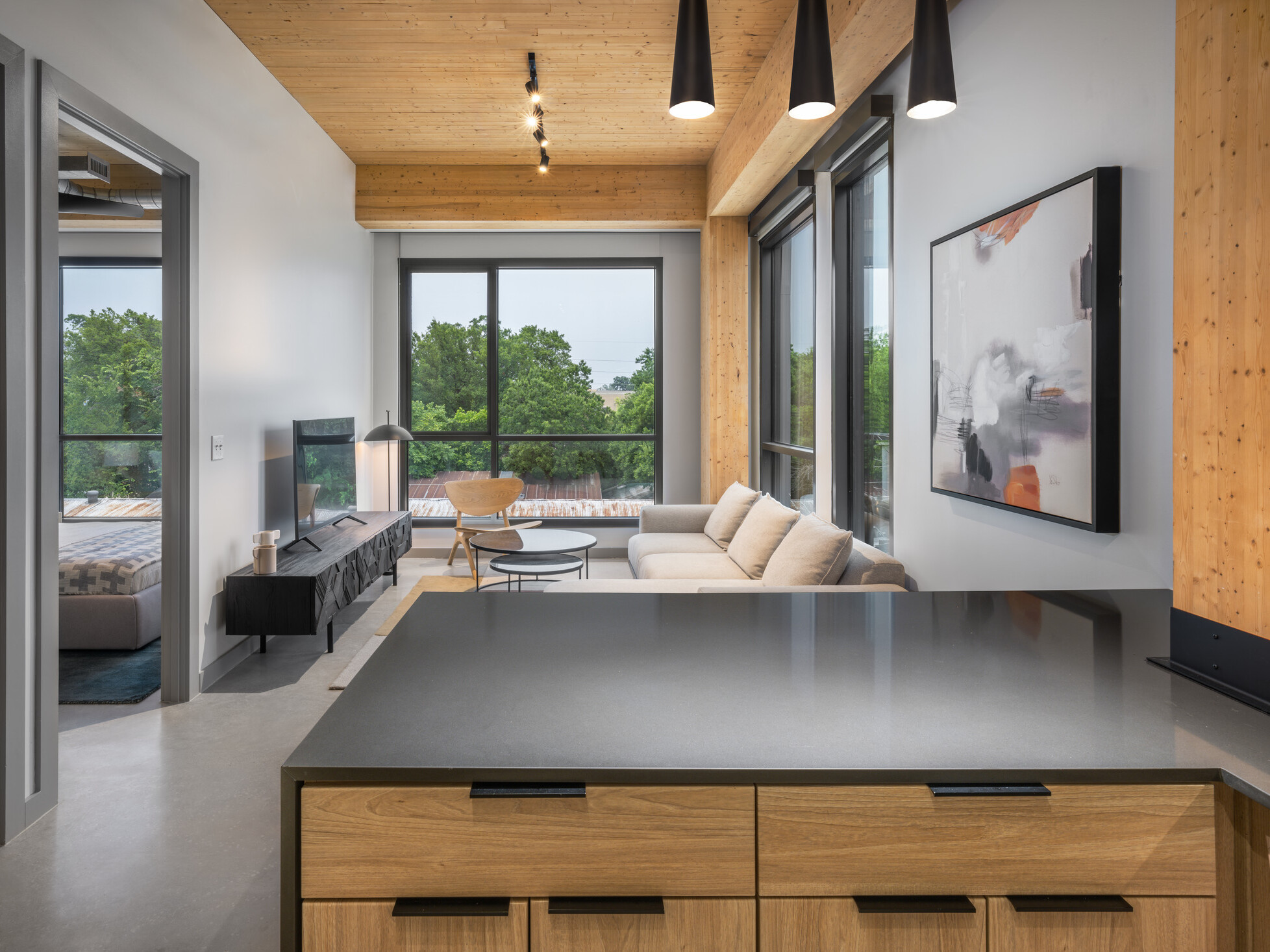 modern apartment overlooking kitchen island and living room