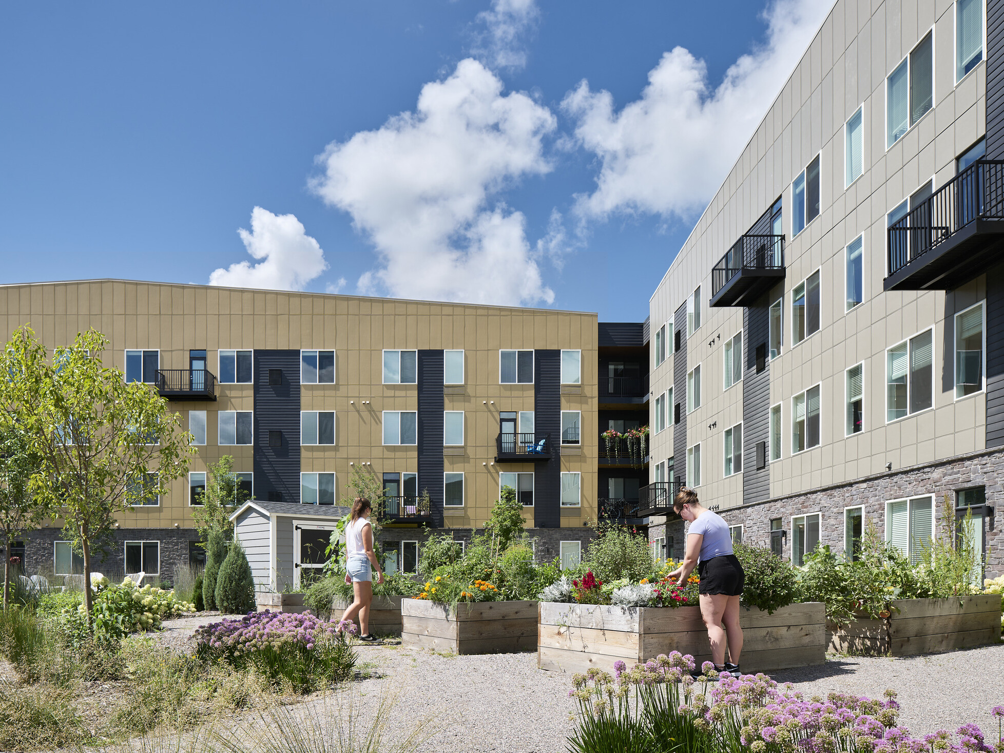 modern apartment building courtyard/community garden with greenery and built-in gardening plots