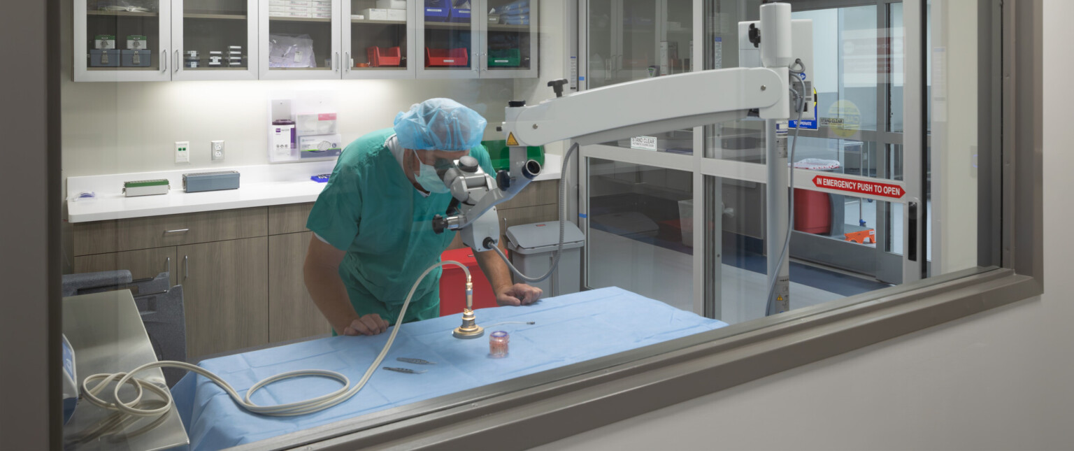 Hospital lab showing a technician in scrubs looking into a microscope