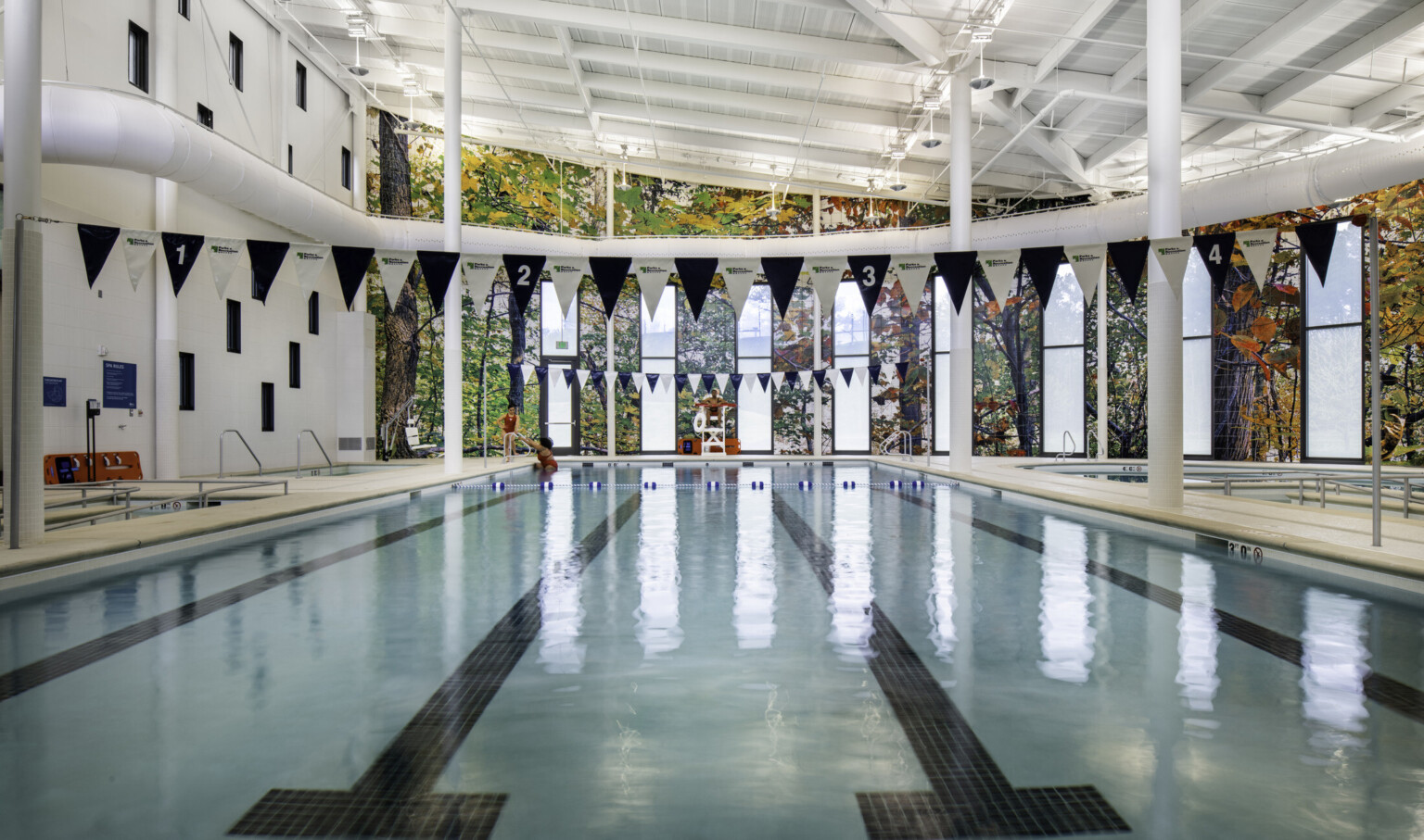 Indoor swimming pool with lane markers and forest mural backdrop.