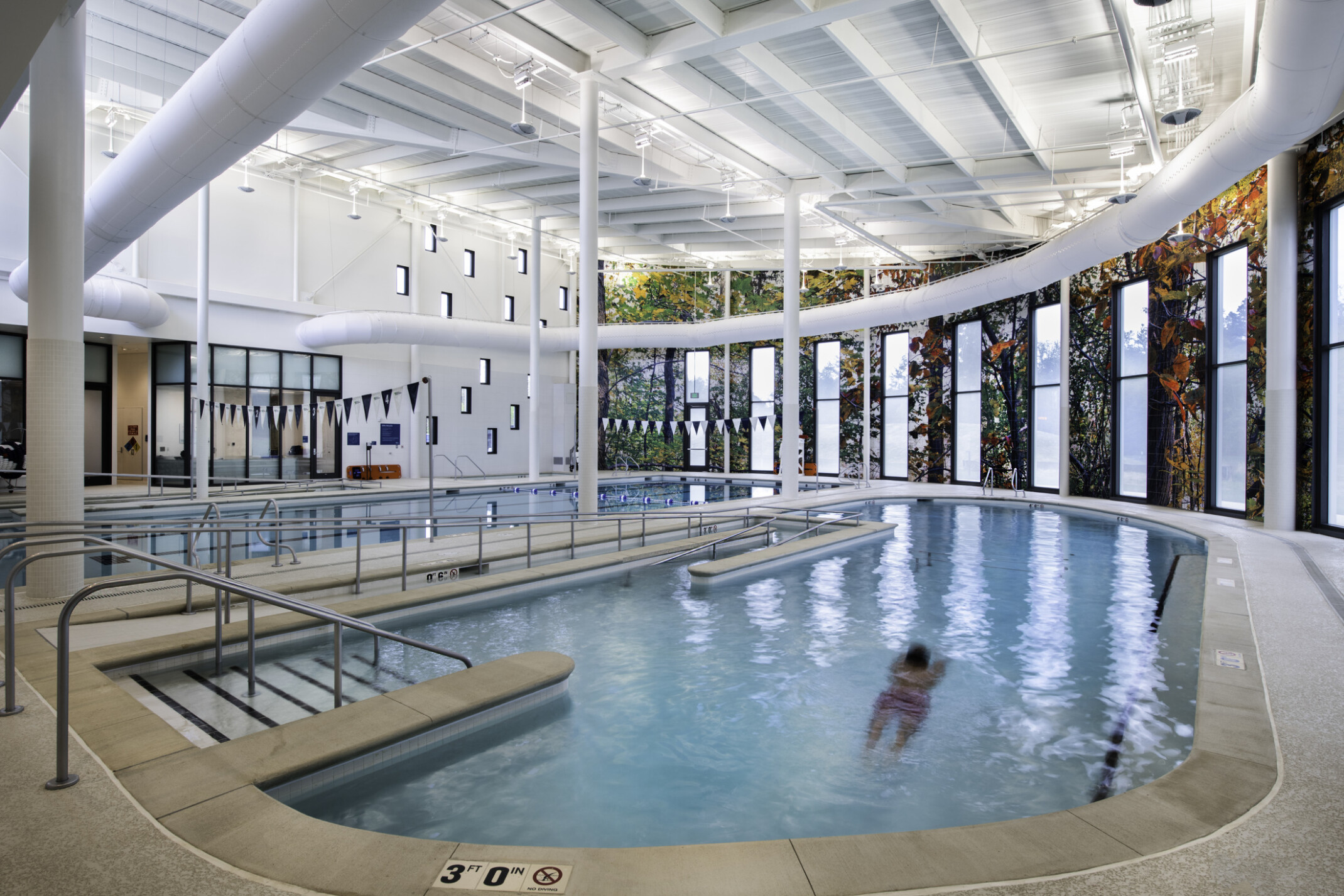 Indoor swimming pool with a swimmer, ramps, and large windows with leafy patterns.