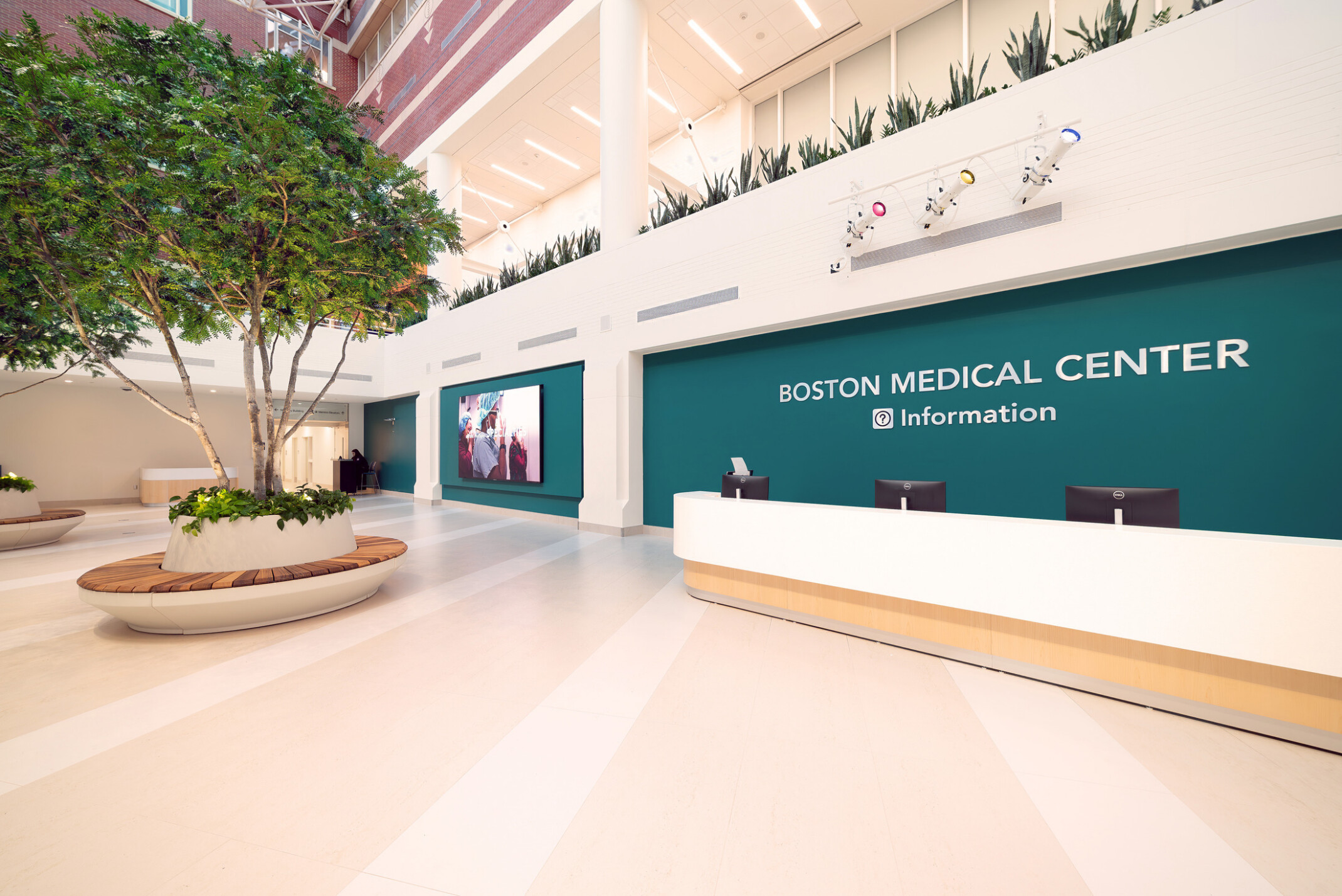 Boston medical center information desk and entrance area; double height space with open seating and interior greenery