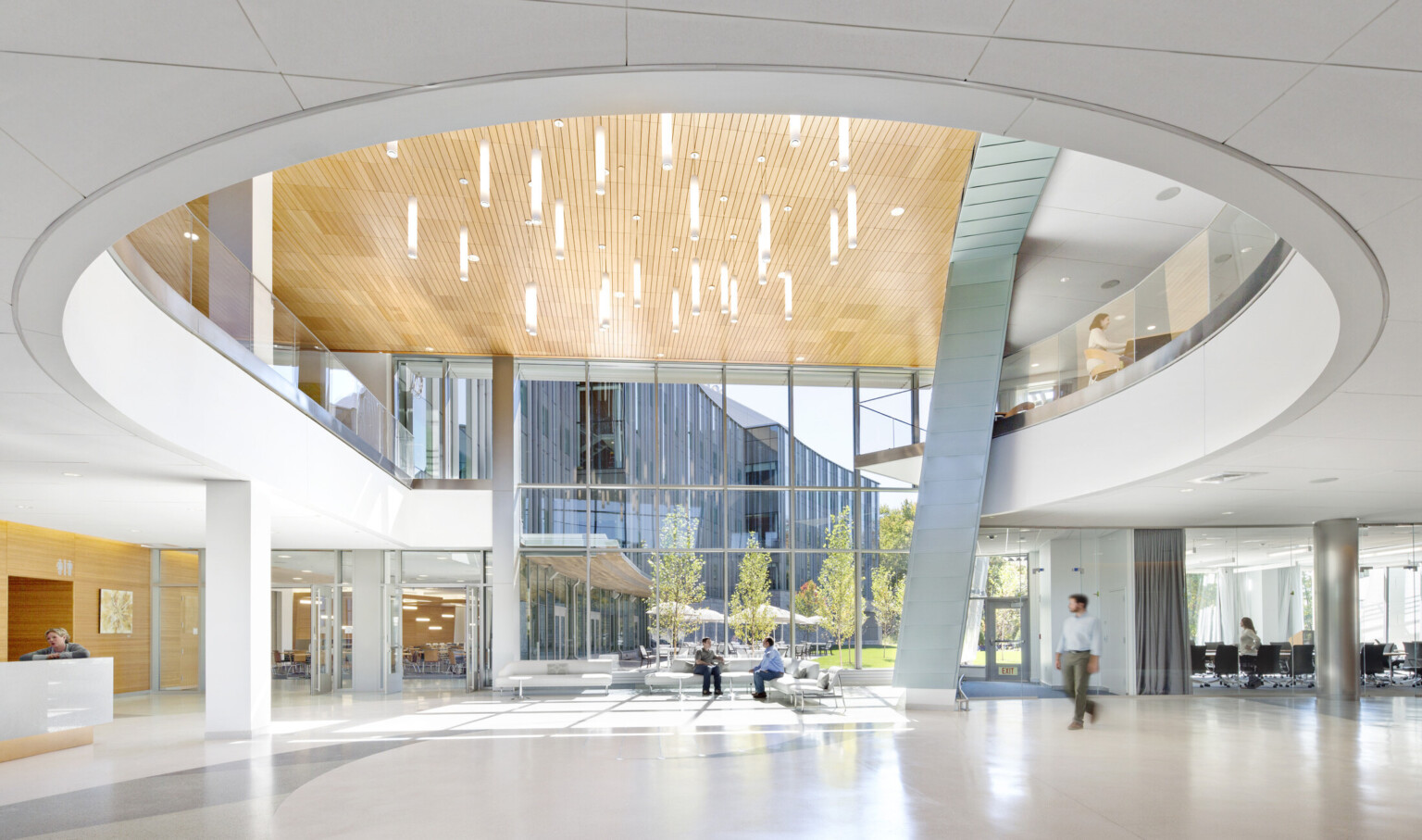 main level lobby area of medical learning center, large atrium with double height windows bring in natural light, curved upper floor has balcony overlooking the space, wood ceiling