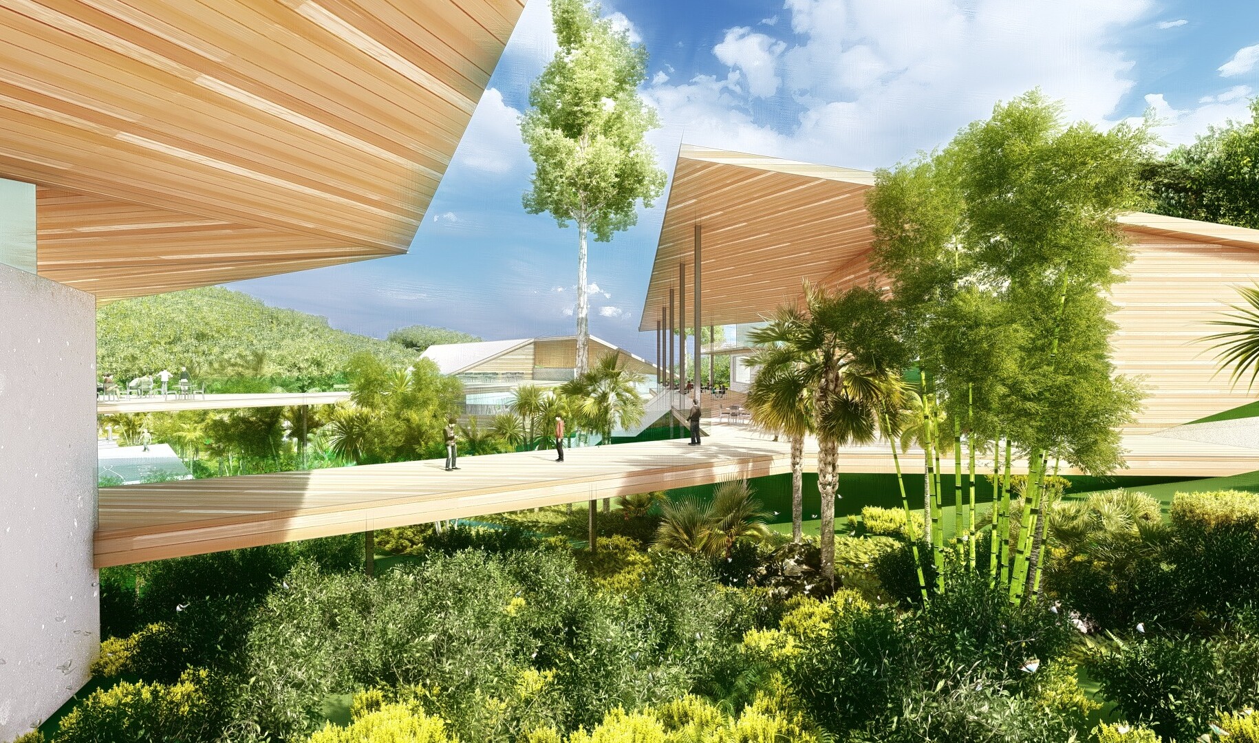 Raised wooden walkway at U.S. Virgin Islands Department of Education