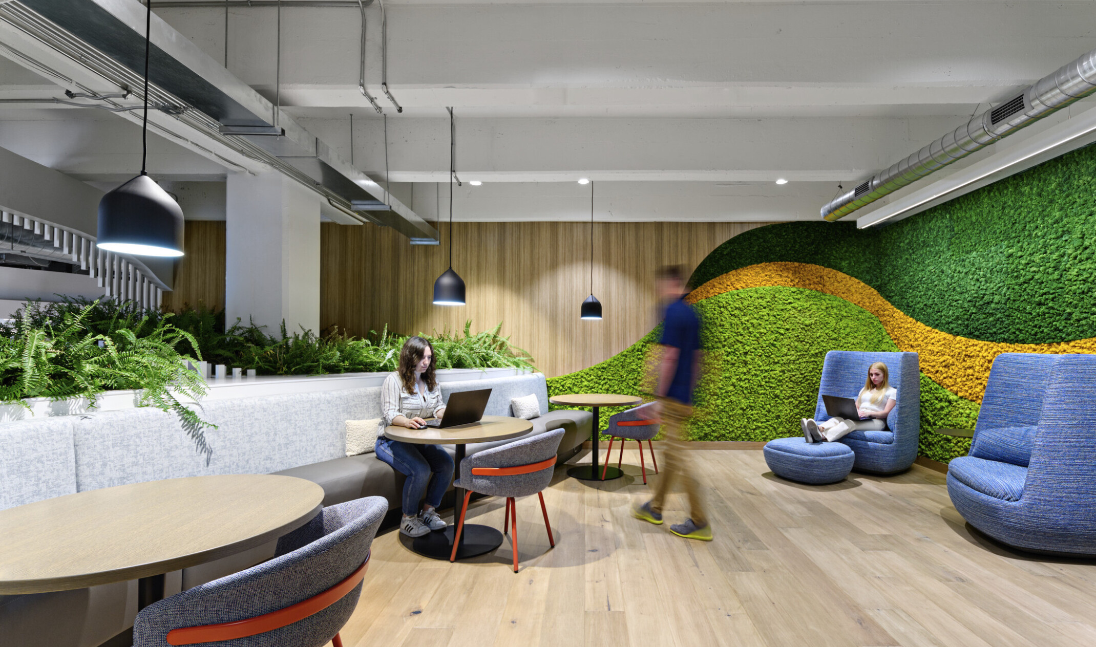 Office common area with bench seating and arm chairs. Textural green and yellow stripes on wall to right, biophilia plants left