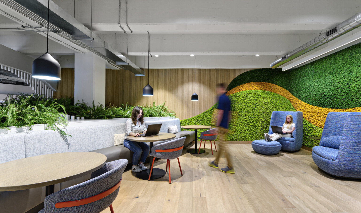 Office common area with bench seating and arm chairs. Textural green and yellow stripes on wall to right, biophilia plants left
