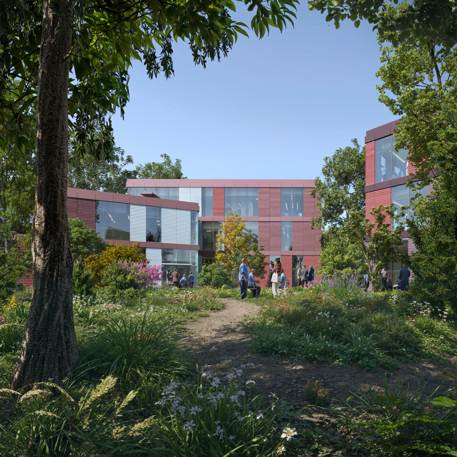 Rendering of a multistory building filled with large rectangular windows surrounded by trees and lush landscaping Rendering of a multistory building filled with large rectangular windows surrounded by trees and lush landscaping