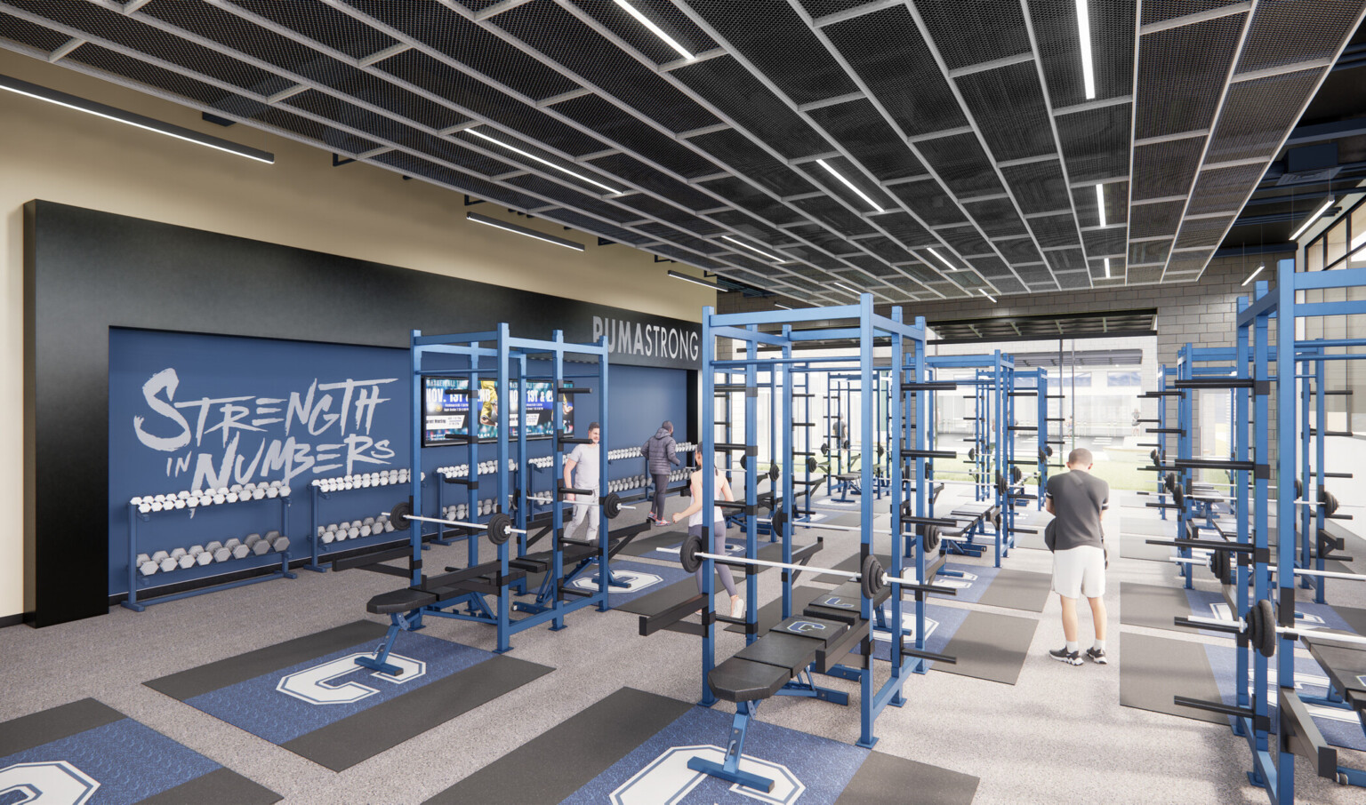 High school weight room with blue weight equipment surrounded by large windows and a blue accent wall; sports facilities for k12