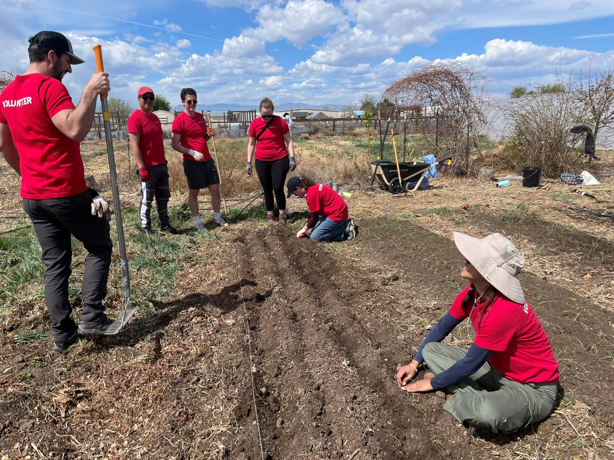 crop farm with DLR Group employees attending to the plants