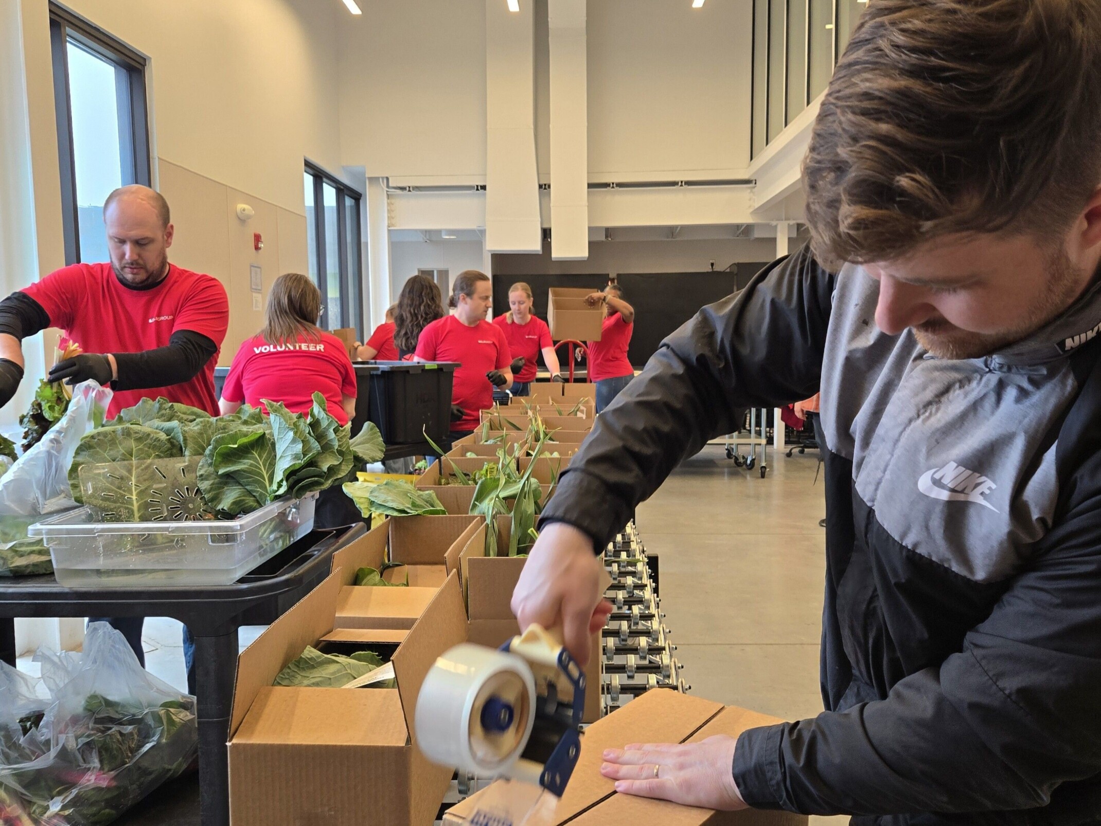 DLR Group employees packing produce