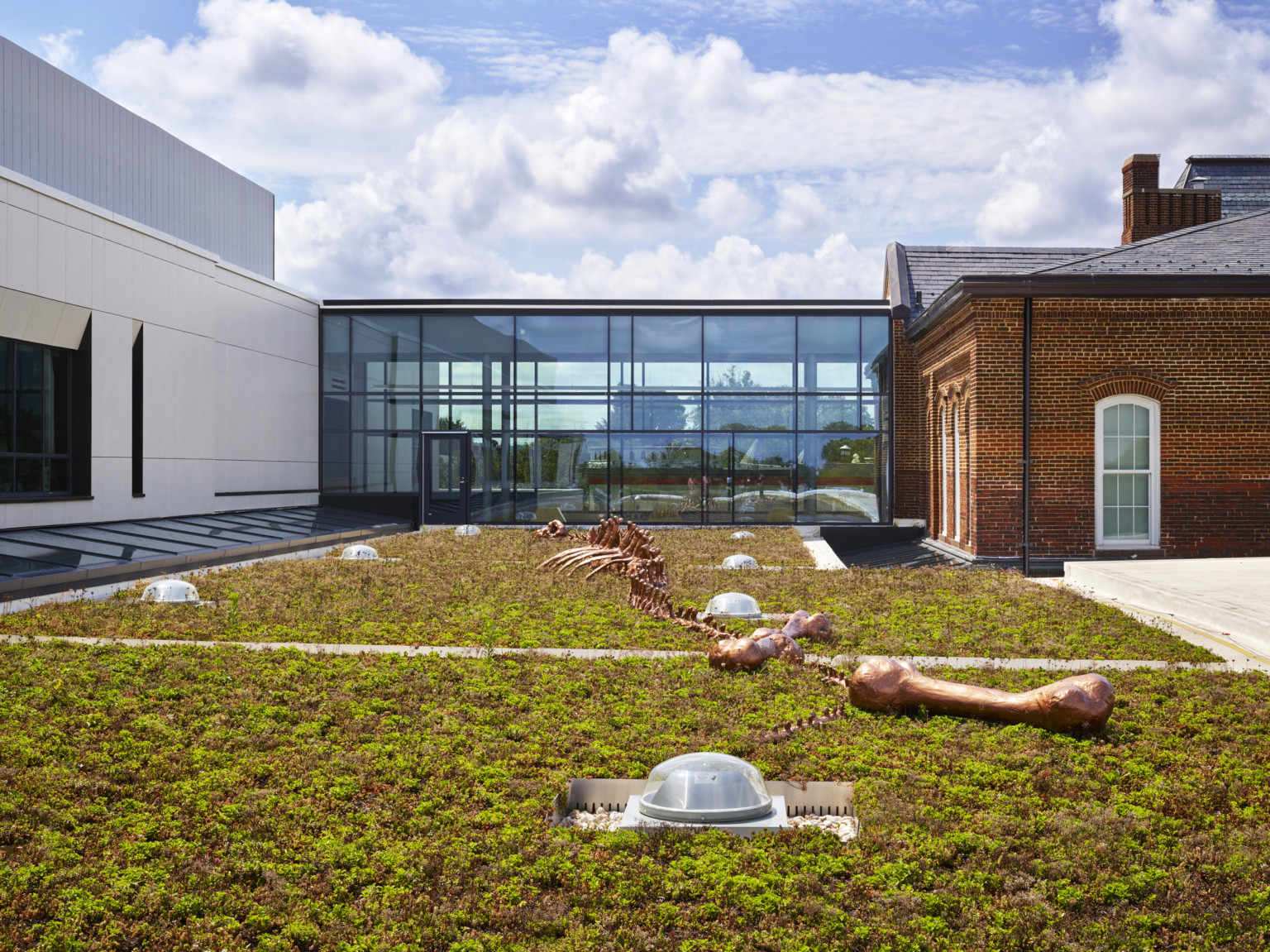 Patio green roof with partially buried dinosaur skeleton sculpture. Brick building connects to white building by glass hall
