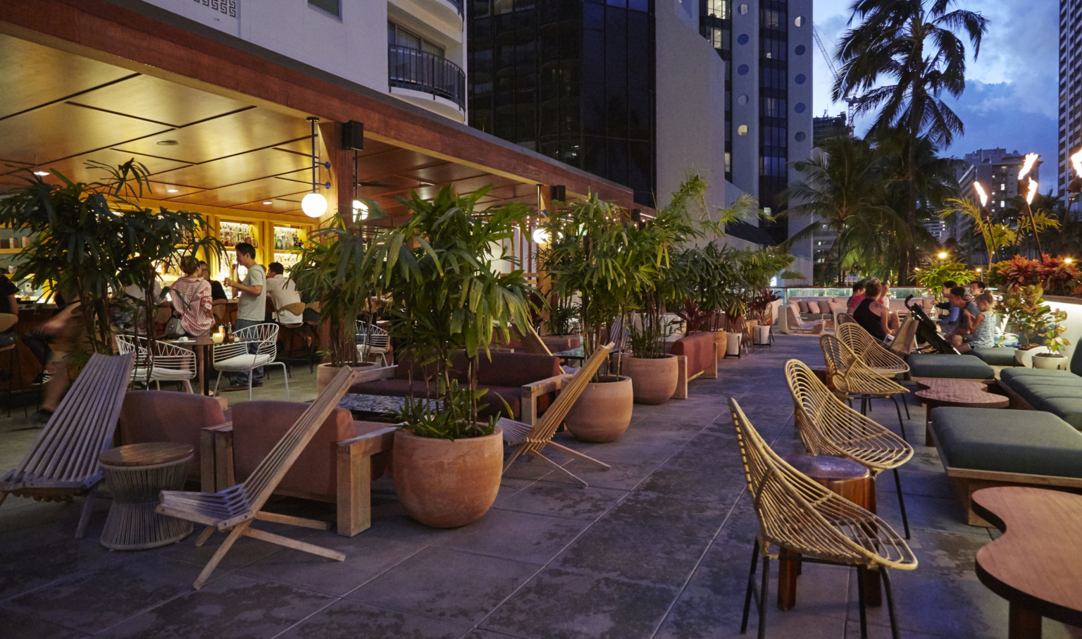 Patio seating area lined with potted palms in front of illuminated bar with wood canopy. White building rises behind