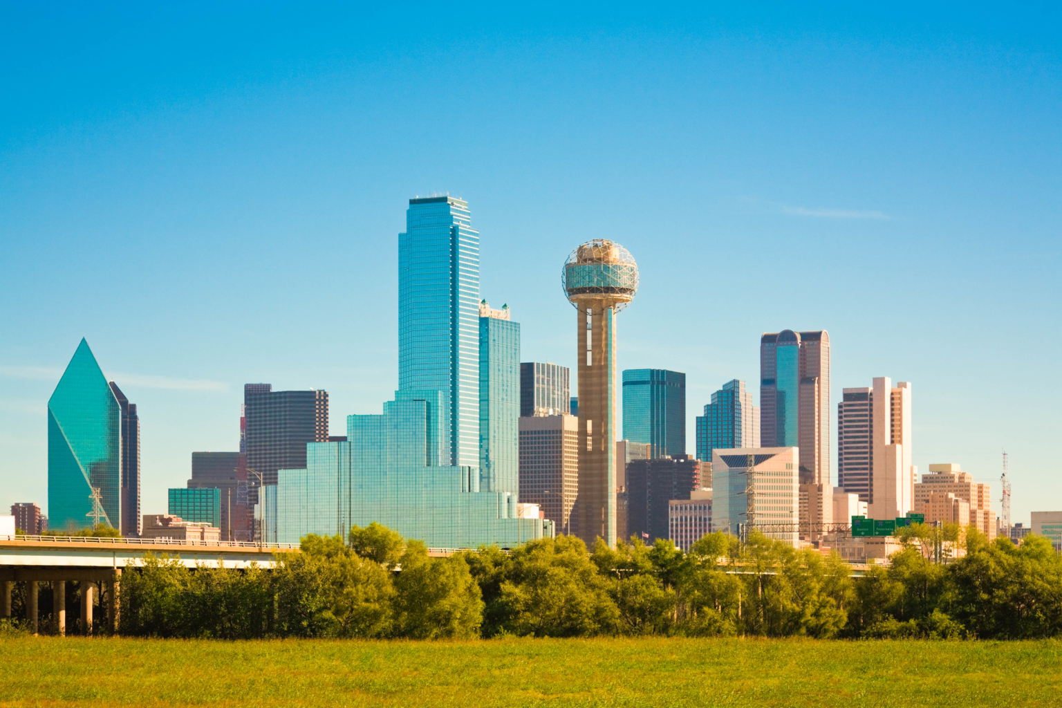 dallas skyline with greenspace in the foreground