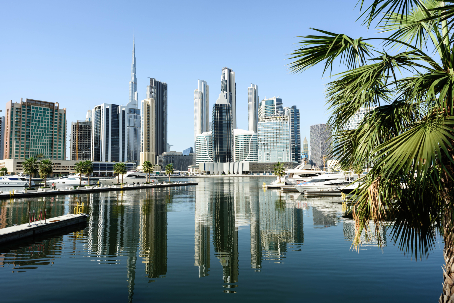 the downtown Dubai skyline with water and a palm tree in the foreground