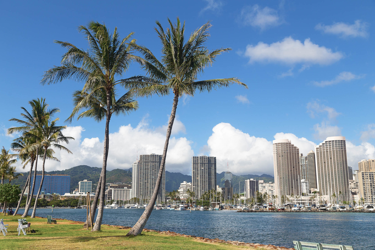 the honolulu skyline with palm trees in the foreground