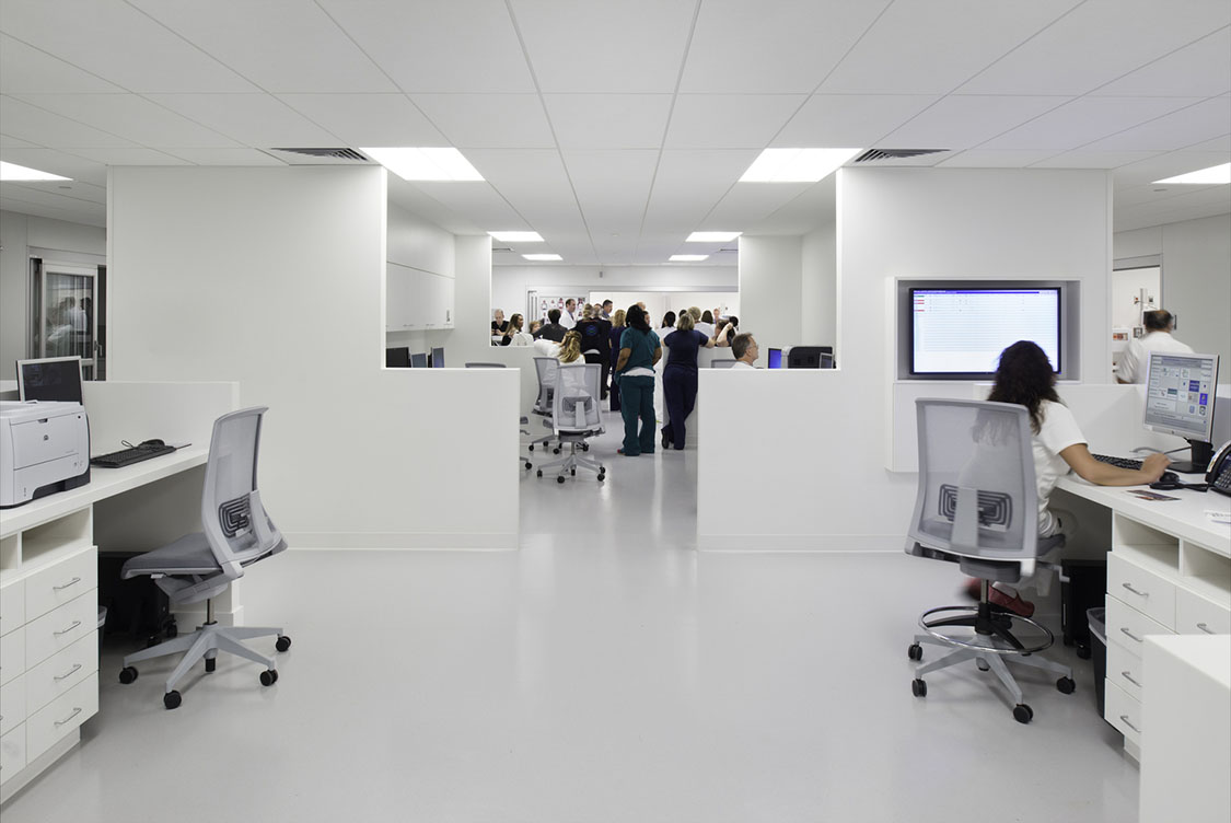 medical professional collaborating and working in a symmetrical white office