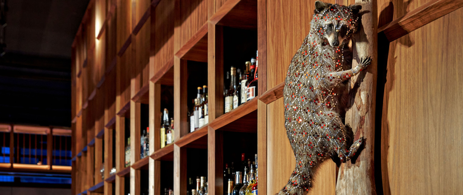 Taxidermy raccoon with geometric jeweled design on a branch hanging on wood wall next to bar