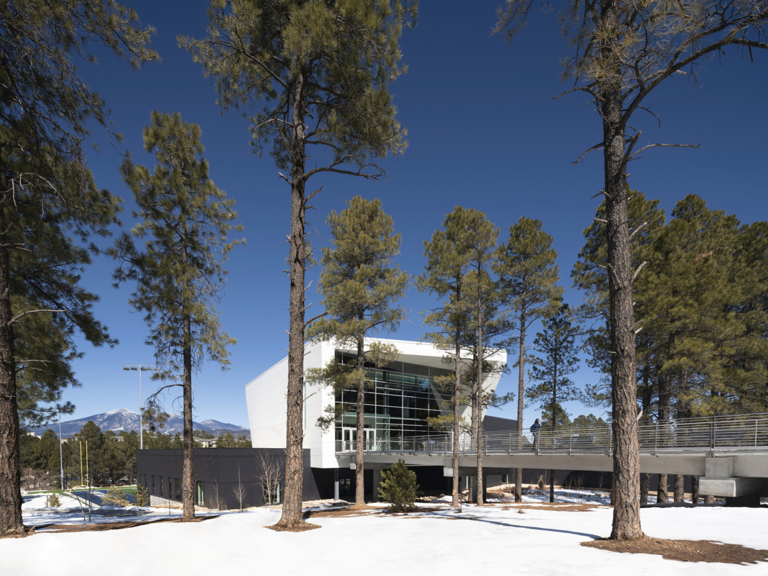 Exterior of Northern Arizona University Student-Athlete High Performance Center. White building with bridge, above grade entrance. Exterior of Northern Arizona University Student-Athlete High Performance Center. White building with bridge, above grade entrance.