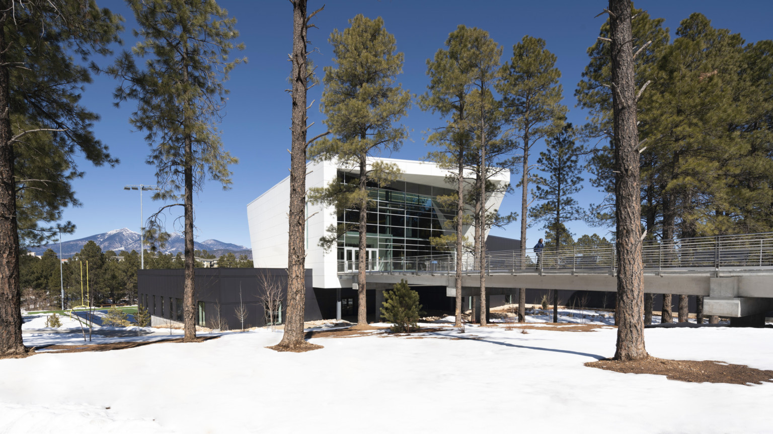 Exterior of Northern Arizona University Student-Athlete High Performance Center. White building with bridge, above grade entrance.