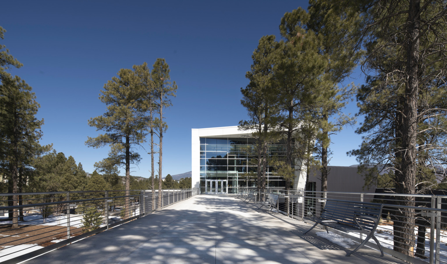 Double height glass entry to NAU High Performance Center from bridge. Tree framed white wrapped facade angles upward to right