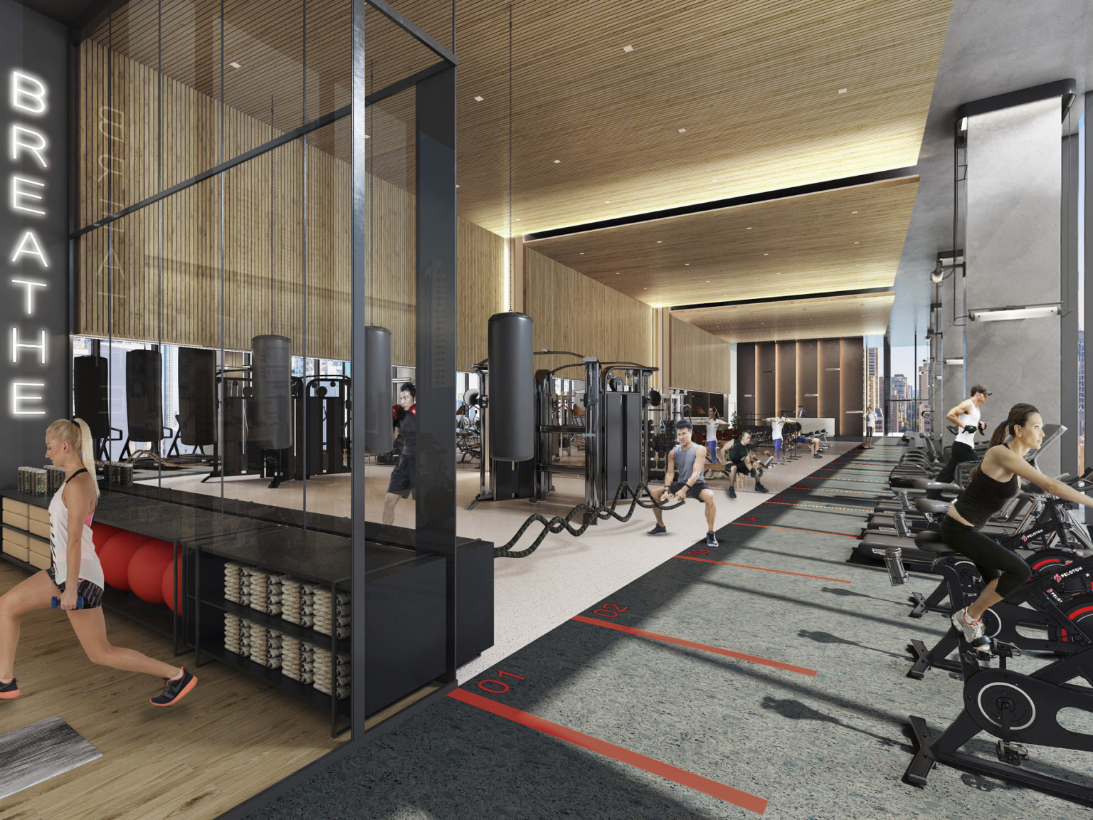 Gym with double height ceiling and window wall to right. Line of equipment face window. Wood panel wrap wall to ceiling accent