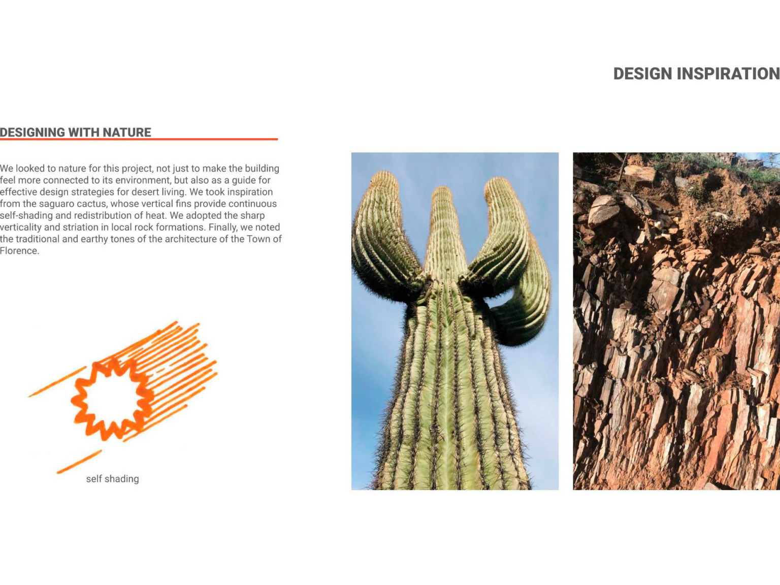 Desert mimicry of saguaro, rock, and cross section of saguaro.